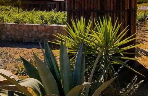 San Antonio de las Minas Cabin | UvaUva 3| Eco-luxury Uva 3