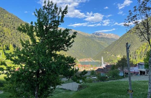 Uzungol Apartment | Uzungöl Özkan Pansiyon