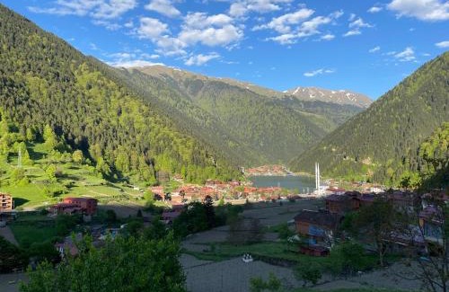 Uzungol Apartment | Uzungöl Özkan Pansiyon