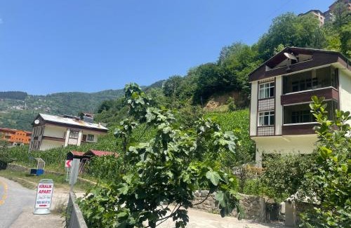 Caykara Apartment | Uzungöl Nehir kenarında Doğa içinde merkezi konumda lüks BUNGALOV