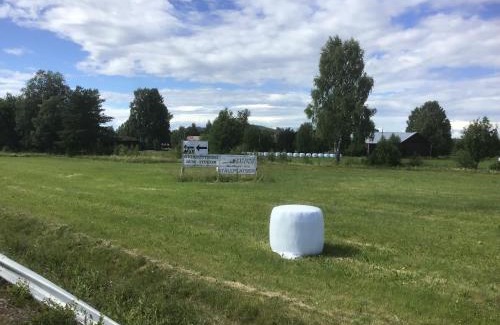 Appelbo Other | Västerdala Onwest