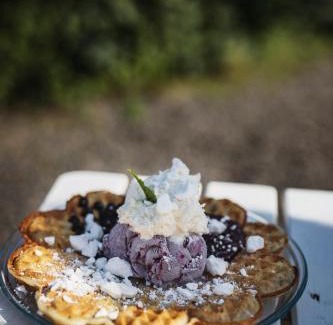 Dannas Bed & Breakfast | Våffelcafé Bed & Breakfast