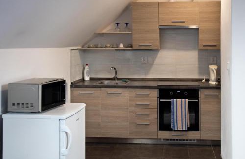 Lysa nad Labem Apartment | V sadu