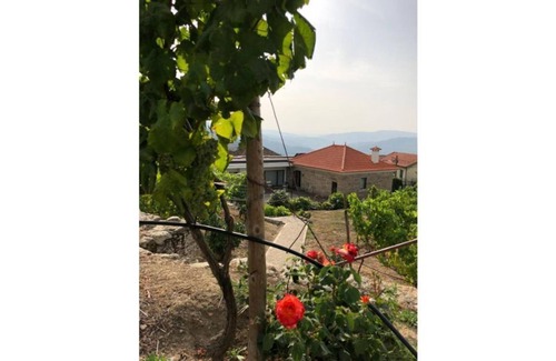 Resende House | Vald'arêgos - Douro Bungalow "Cortiço"