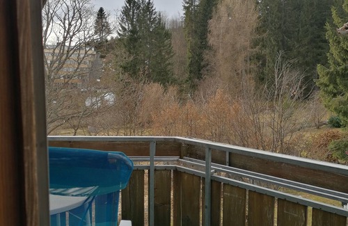 Schoenwald Apartment | Vacation apartment/apartment for 3 guests with 55m² in Schönwald in the Black Forest (168521)