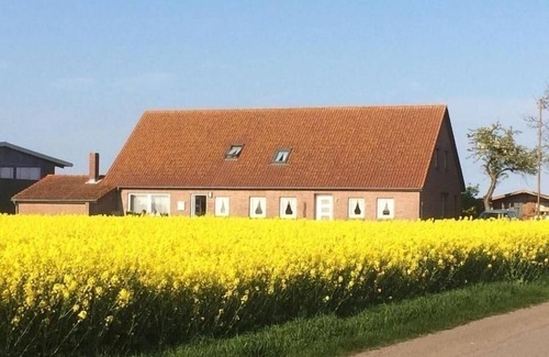 Fehmarn Apartment | Vacation apartment/apartment for 2 guests with 30m² in Fehmarn OT Westerbergen (294330)
