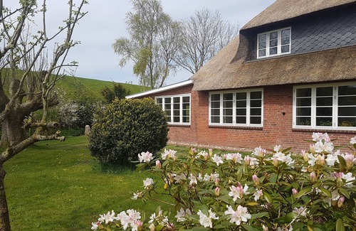 Hattstedtermarsch Apartment | Vacation apartment - Diekblick - Kleiner Deichhof - 2 bedrooms - 60 m² - directly on the dyke
