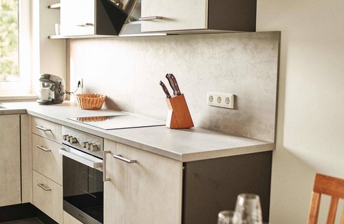 Mainz-Bingen Apartment | Vacation apartment at the Winzerhof with a view of the vineyards.
