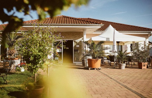 Mainz-Bingen Apartment | Vacation apartment at the Winzerhof with a view of the vineyards.
