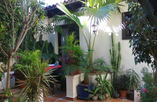 El Guincho Apartment | Vacation apartment/apartment for 2 guests with 45m² in Icod de los Vinos (127872)