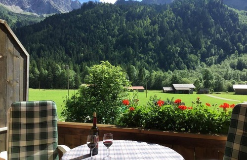 Hinterstein Apartment | Vacation apartment Starker Hans - House Evi Wechs