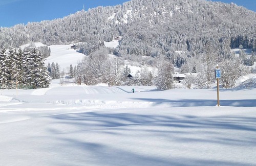 Groissenbach Apartment | Vacation apartment "Glitzeralm" Reit im Winkl