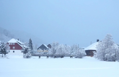 Menzenschwand-Hinterdorf Apartment | Vacation apartment/apartment for 5 guests with 50m² in Sankt Blasien (169110)