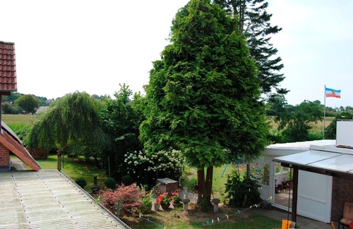 Goosefeld Apartment | Vacation apartment/apartment for 4 guests with 45m² in Goosefeld (2356)