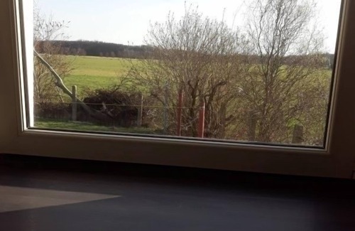 Schonwald Apartment | Vacation apartment/apartment for 7 guests with 85m² in Schönwald (172851)
