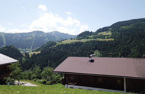 Wildschoenau Apartment | Vacation apartment/apartment for 8 guests with 90m² in Niederau (149531)