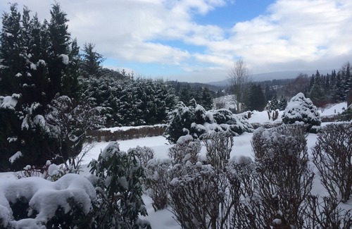 Altenau Apartment | Vacation apartment/apartment for 3 guests with 40m² in Altenau (96312)