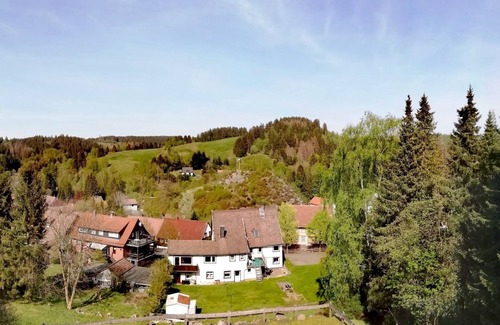 Altenau Apartment | Vacation apartment/apartment for 3 guests with 58m² in Altenau (110321)