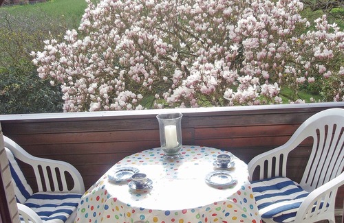 Ulsnis Apartment | Vacation apartment/apartment for 5 guests with 70m² in Ulsnis (17071)