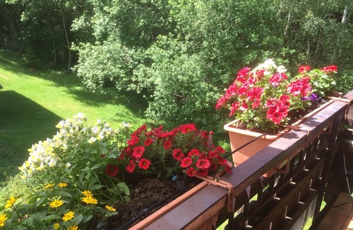 Bad Wildbad Apartment | Vacation apartment Kuckuck on the Sommerberg incl. SchwarzwaldCard Plus (2 rooms