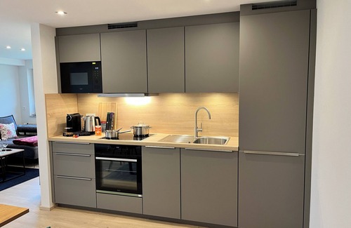Friesenheim Apartment | Vacation apartment /Black Forest /Europa Park /Rulantica