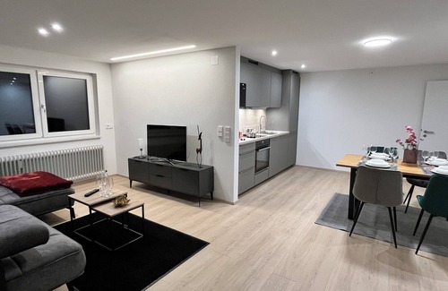 Friesenheim Apartment | Vacation apartment /Black Forest /Europa Park /Rulantica