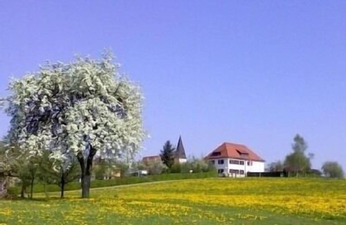 Prackenbach Apartment | Vacation apartment/apartment for 4 guests with 60m² in Prackenbach (272039)