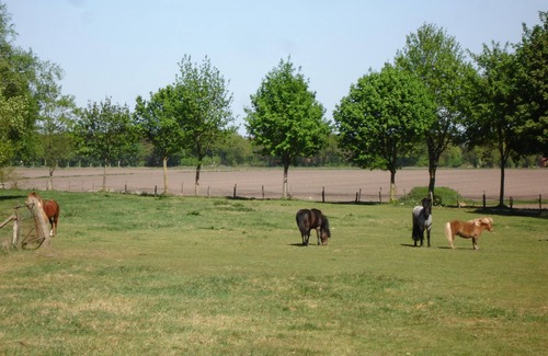 Brinkum Apartment | Vacation apartment Im Brink 35144 - Vacation in the countryside - Hagedorn's Ponyhof 35143