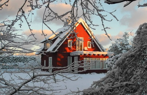 Pruchten Apartment | Vacation apartment in a thatched wooden house - very quiet and idyllic location