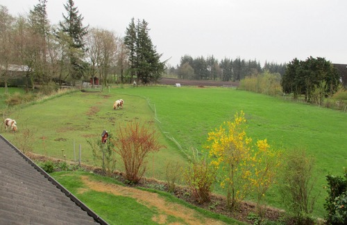 Leck Apartment | Vacation apartment on the outskirts of Leck between the North Sea and the Baltic Sea in a quiet location