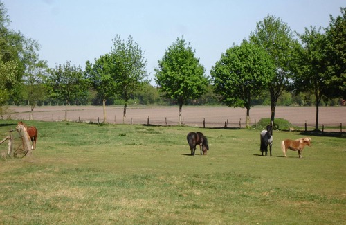 Brinkum Apartment | Vacation apartment Pferdestall 35145 - Vacation in the countryside - Hagedorn's Ponyhof