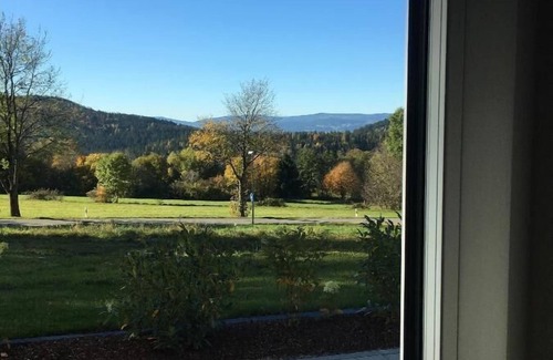 Bodenmais Apartment | Vacation apartment Phryne 52m2 with sun terrace