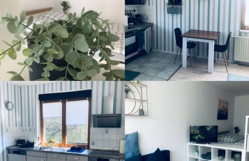 Penig Apartment | Vacation apartment (studio) 'Shakira' in the beautiful Mulde valley
