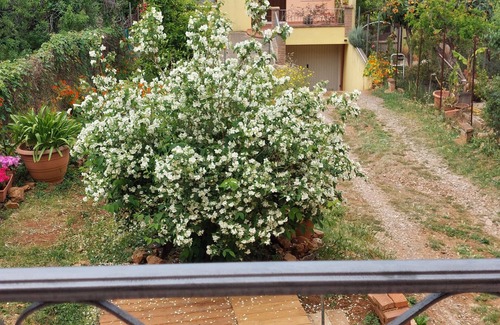 Iglesias Historic Centre Apartment | Vacation apartment the Philadelphus a few kilometers from the sea