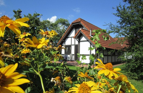 Hollern House | Vacation home 167 Deichgraf 86sqm for max. 7 persons - Holiday home Deichgraf 86 in the