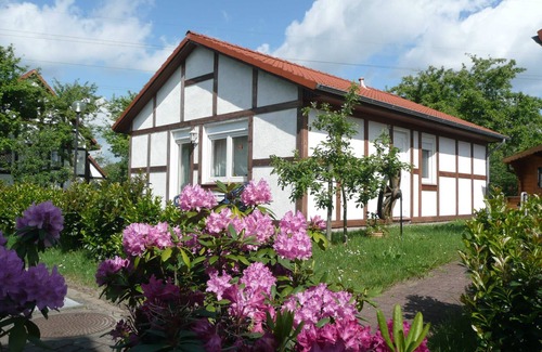 Hollern House | Vacation home 116 Kogge 60sqm up to 4 persons with pet - Ferienhaus Kogge im