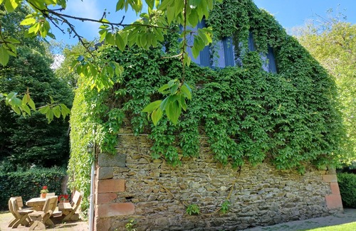 Wallscheid House | Vacation home for 10 guests with 180m² in Wallscheid (179331)