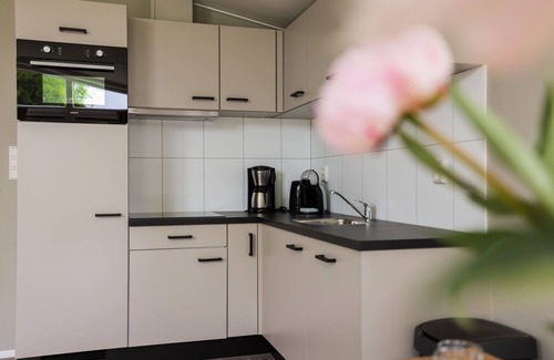 Onderdijk House | Vacation home for 4 guests with 60m² in Wervershoof (272327)