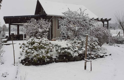 Meschede House | Vacation home in a secluded location in the Sauerland, with dog