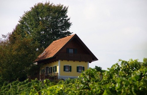 Marktl Cottage | Vacation home in the middle of vineyards