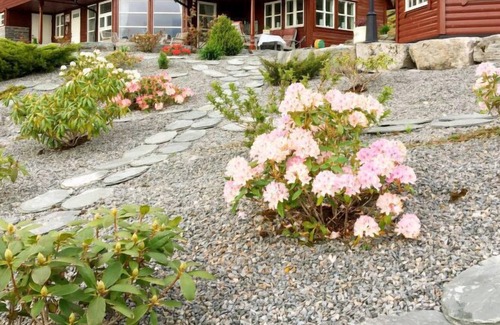 Askvoll House | Vacation home Nesavika (FJS520) in Stongfjorden - 6 persons, 3 bedrooms