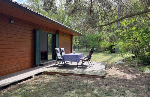 Viereck Cabin | Vacation home on the edge of the forest