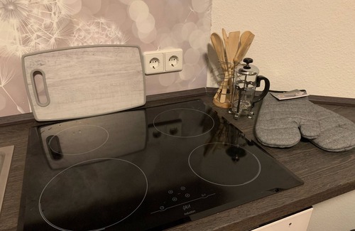 Rotha Apartment | Vacation in the Leipzig New Lake District