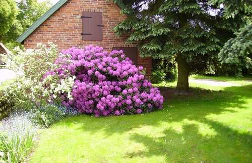 Nahrendorf Apartment | Vacation in the middle of nature