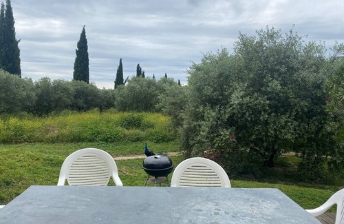 Murviel-les-Beziers Apartment | Vacations in the countryside, between the Mediterranean beaches and the Caroux massif,