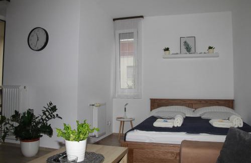 Veszprem Apartment | Vadvirág Apartman