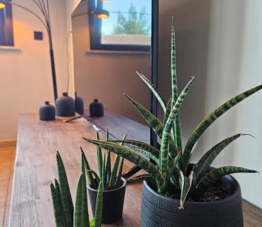 Lombardsijde House | Vakantiewoning Maison Mathiz