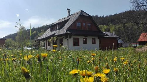 Velke Karlovice House | Valachy chalupa Velké Karlovice