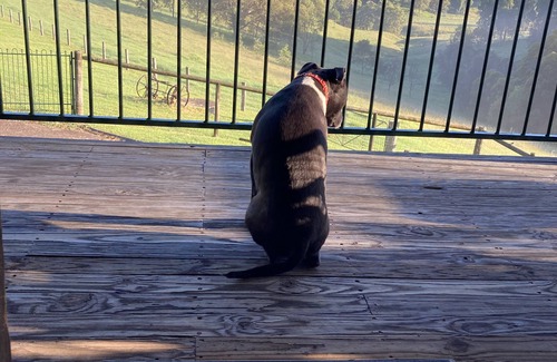 Mount View House | Valley Beyond - Peace and tranquility. PET Friendly. Free Wi Fi