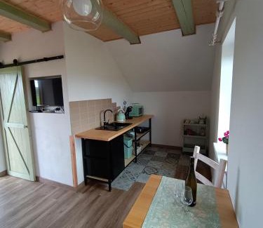 Dolni Dunajovice Apartment | Vavřinec